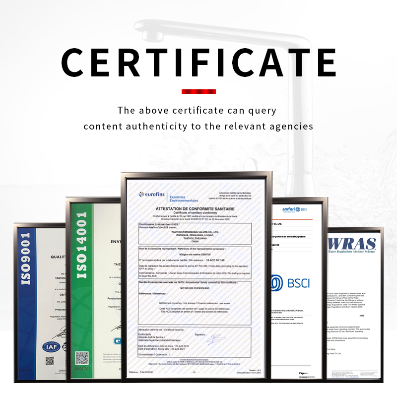 Hot Sale Hand Shower (ZS012)