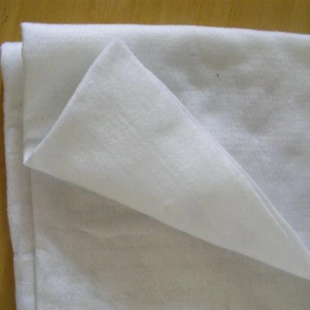 Tr Advanced Needle Punched Geotextile for Soil Filtration and Reinforcement
