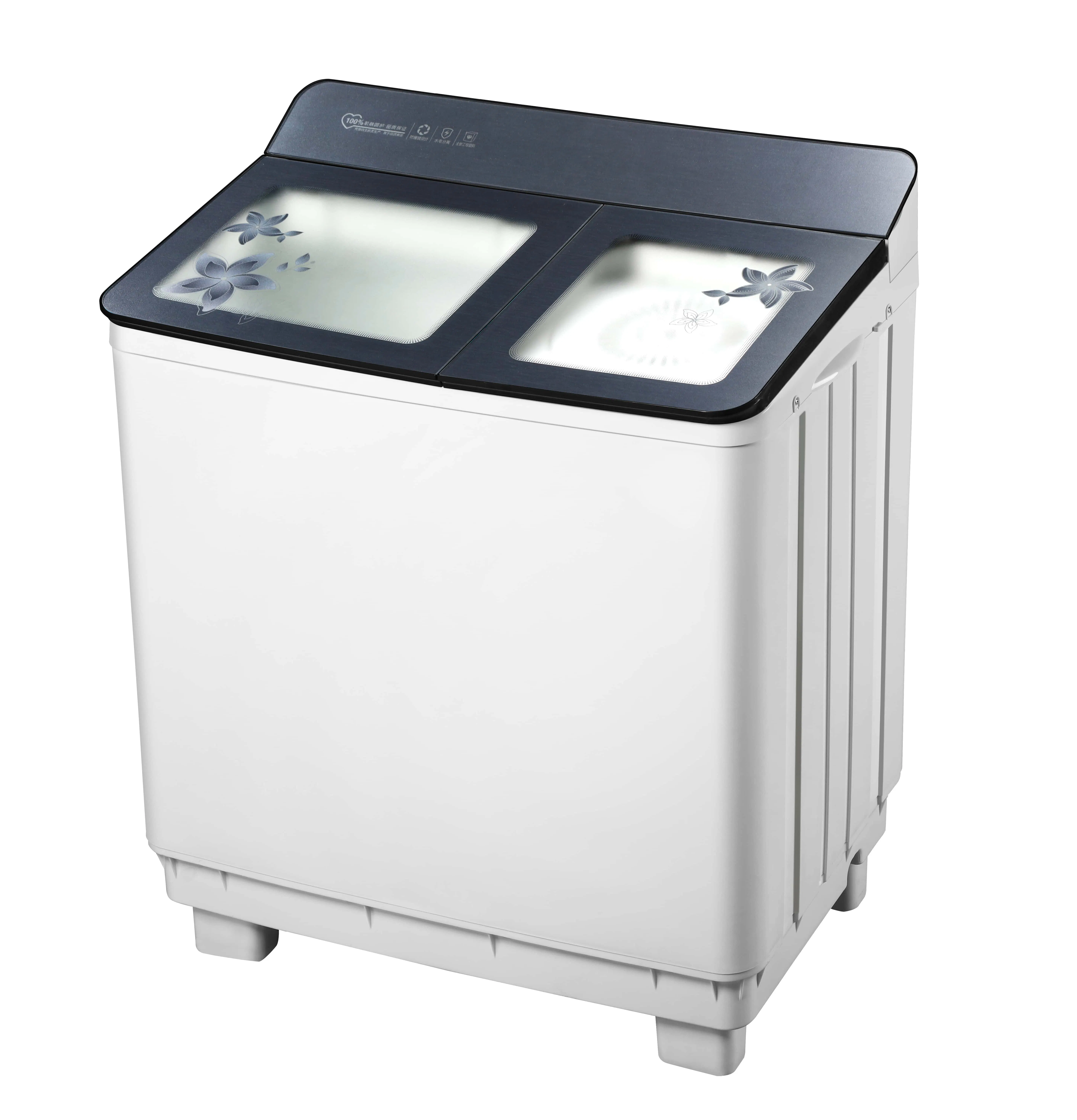 Xpb100-2018SD-T308 Robust Twin Tub Washer: Powerful Performance, Space-Saving