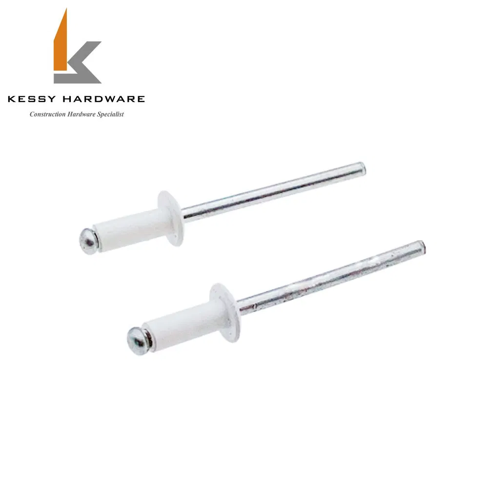 Blind Rivets in Aluminum Pop Rivets for Automotive Industry and Furniture