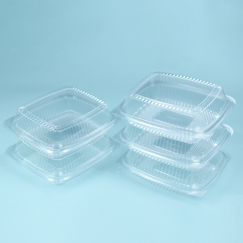 Disposable Plastic Pet Rectangle Clear Fruit Salad Box