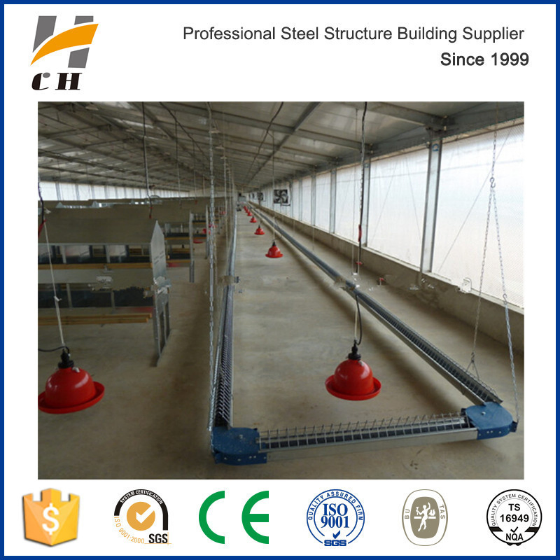 Prefabricated Automatic Equipments Commercial Poultry Chicken House/Farm/Shed