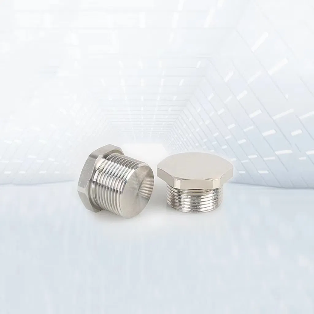 Blind 3/8 1/2 1 NPT BSPT Male SS316 Pipe Fittings Hex Plug