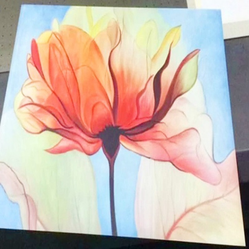 Waterproof of Building Material PVC Foam Board PVC Free Foam Board