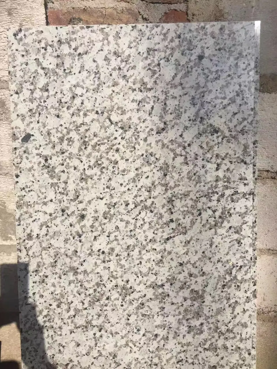 Hot Sale Natural White Flower Polished Granite for Train Station