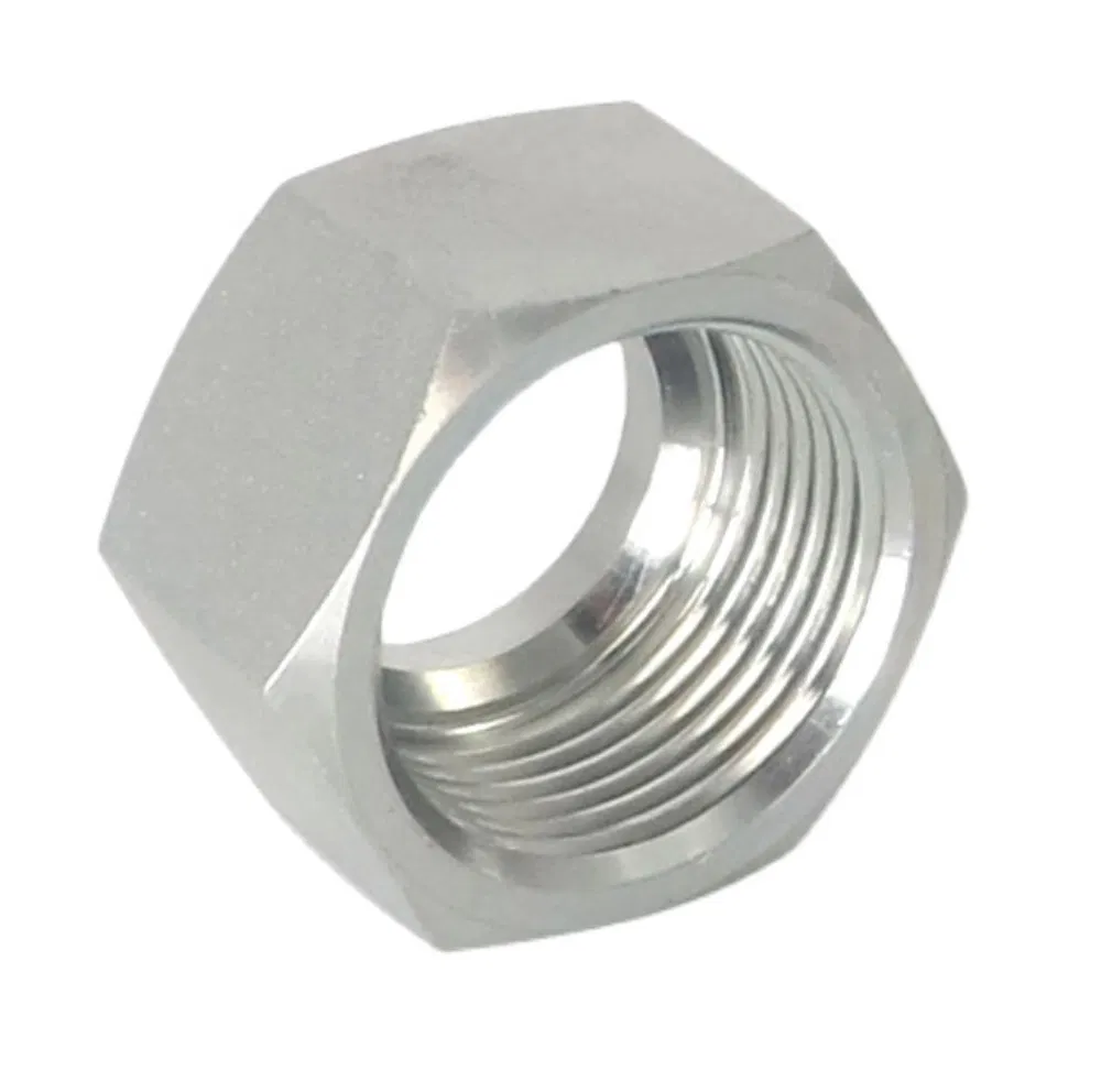 OEM 150lb Bsp / NPT Threaded Hydraulic Stainless Steel Cap