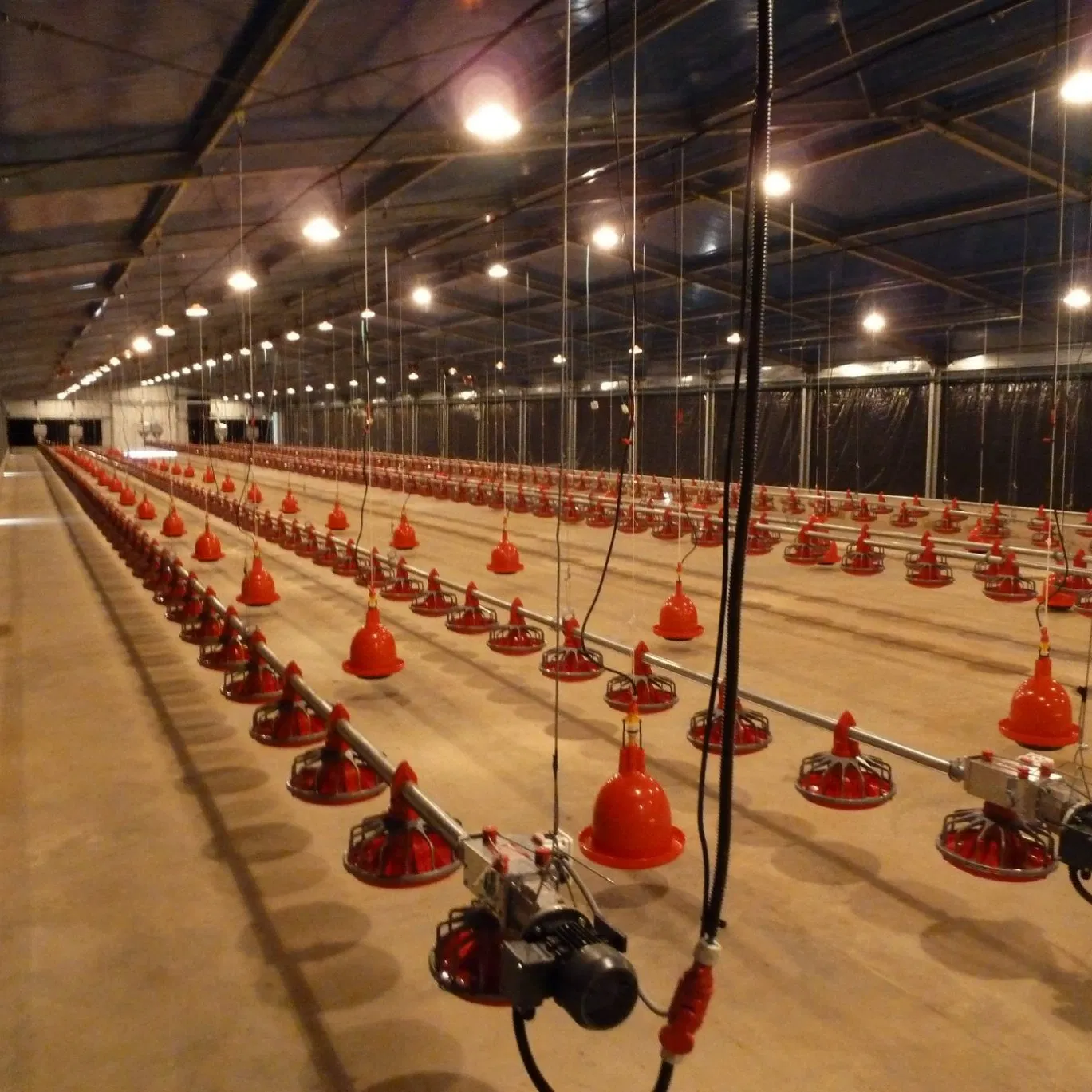 China Manufacturers Modular Poultry Design Farm Functional Characteristics Pre Engineered Building