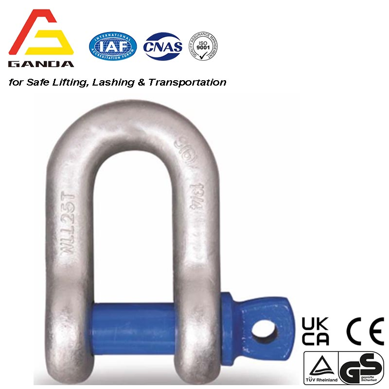 Heavy Duty Us Type L Achor Shackle Forged Marine Bow Shackle