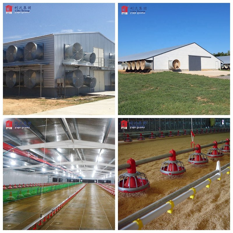 Steel Frame Farm Building From China