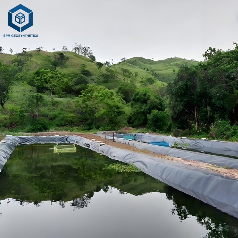 500microns Pond Liners Geomembrane for Fish Shrimp Farming in Costa Rica