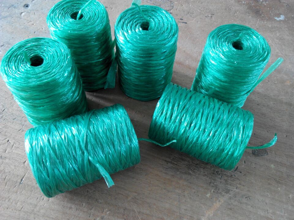 Cheap and High Tenacity Agriculture Plastic Packing Rope (SGS)