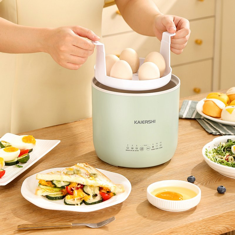 1.6L Intelligent Visual Egg Boiler and Electric Cooker