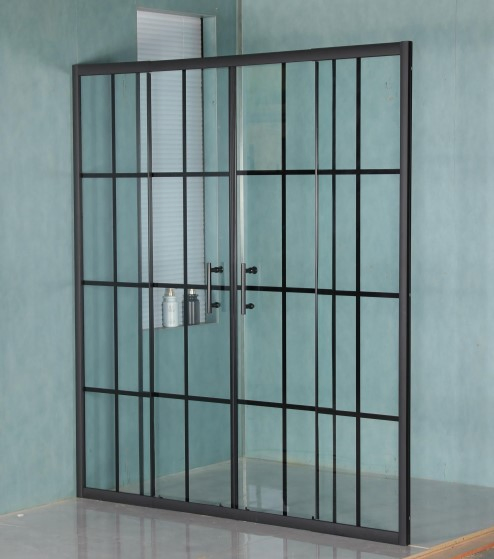 Matt Black Profile Tempered Glass Sliding Door Wilk in Screen