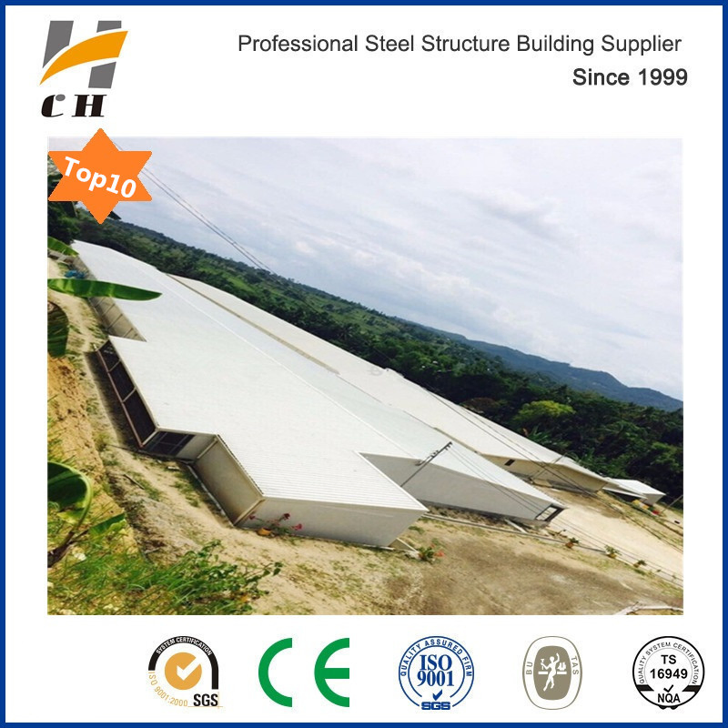 Factroy Price Quality Prefab/Prefabricated Light Weight Steel Structure Frame Metal Livestock Farm /Poultry Farms/Poultry Chicken Farm with Equipment