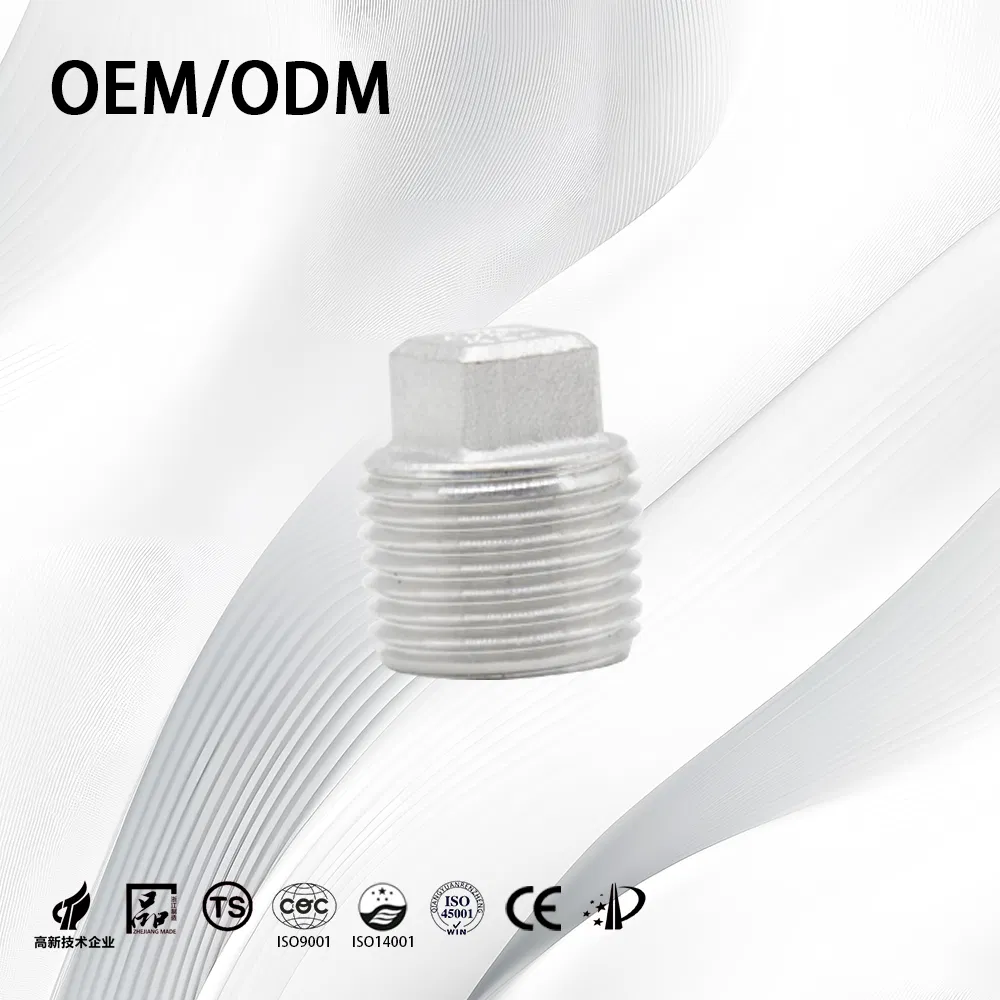 Stainless Steel Industrial Customize Anti-Corrosion End Plug with Square Head