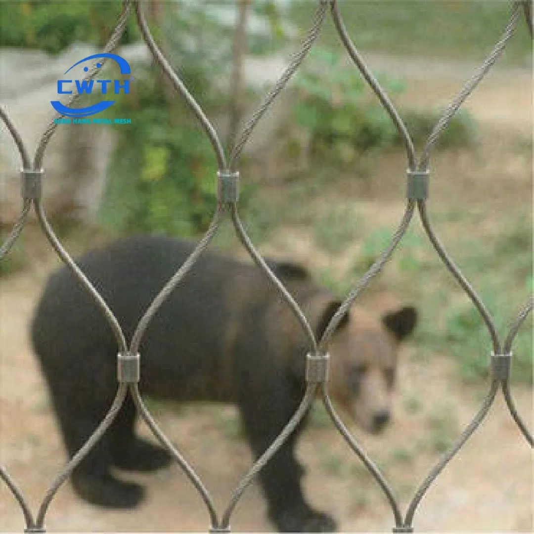 Wholesale 30 X 50 40 X 70 60 X 100 mm SS304 316 Stainless Steel Wire Rope