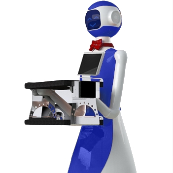 Humanoid Delivery with Intelligent Obstacle Avoidance-Lele Delivery Robot