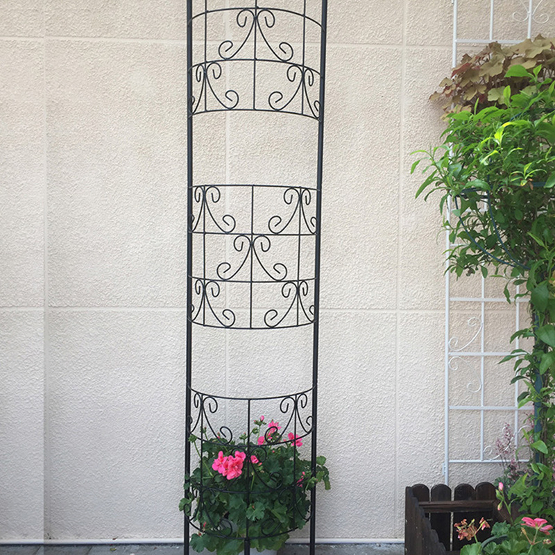 Steel Iron Flower and Plant Support Garden Trellis