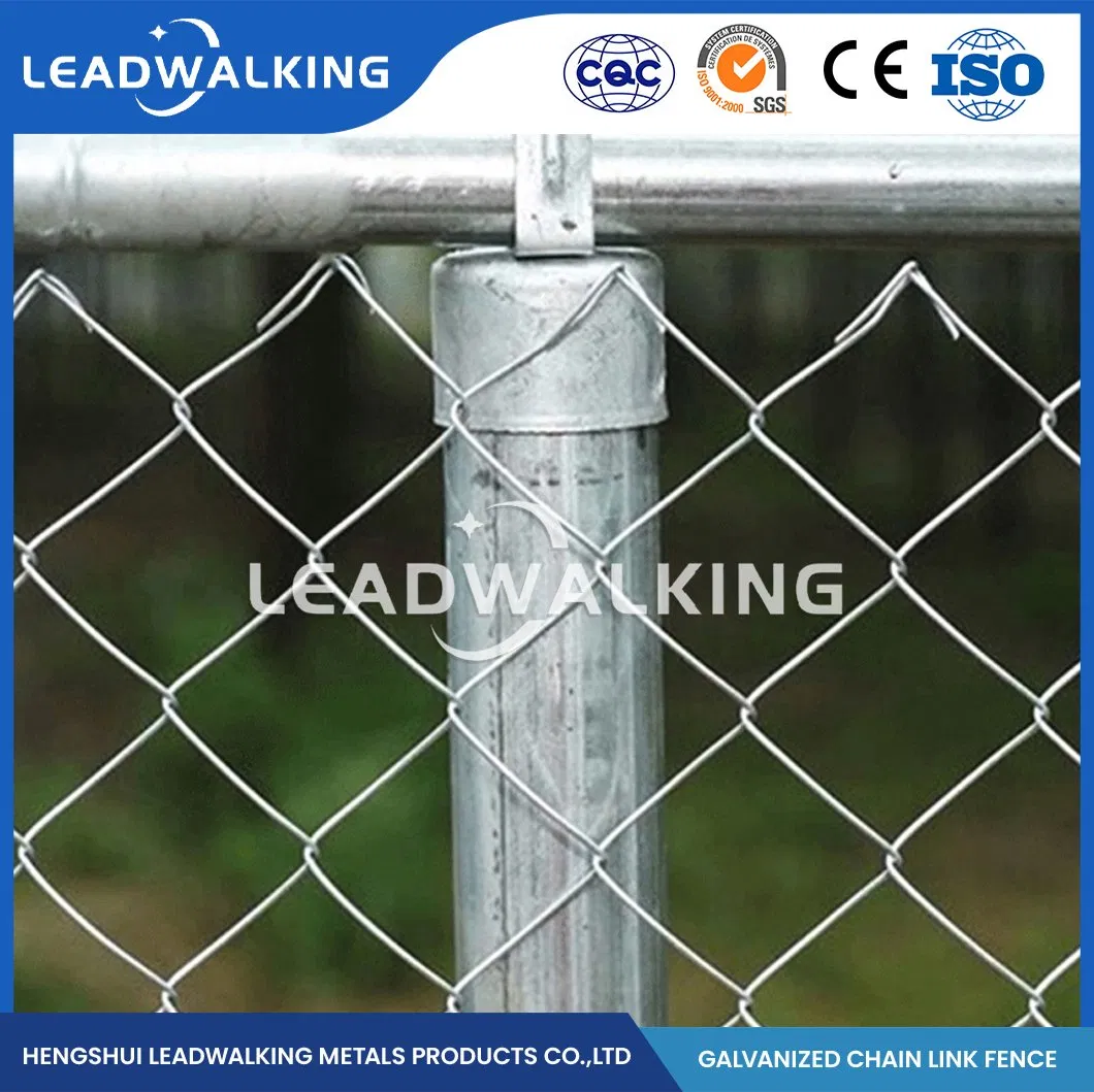 Leadwalking Chain Fence ODM Custom Plastic Chain Link Fence Suppliers China Mesh Leveling Construction Chain Link Fencing