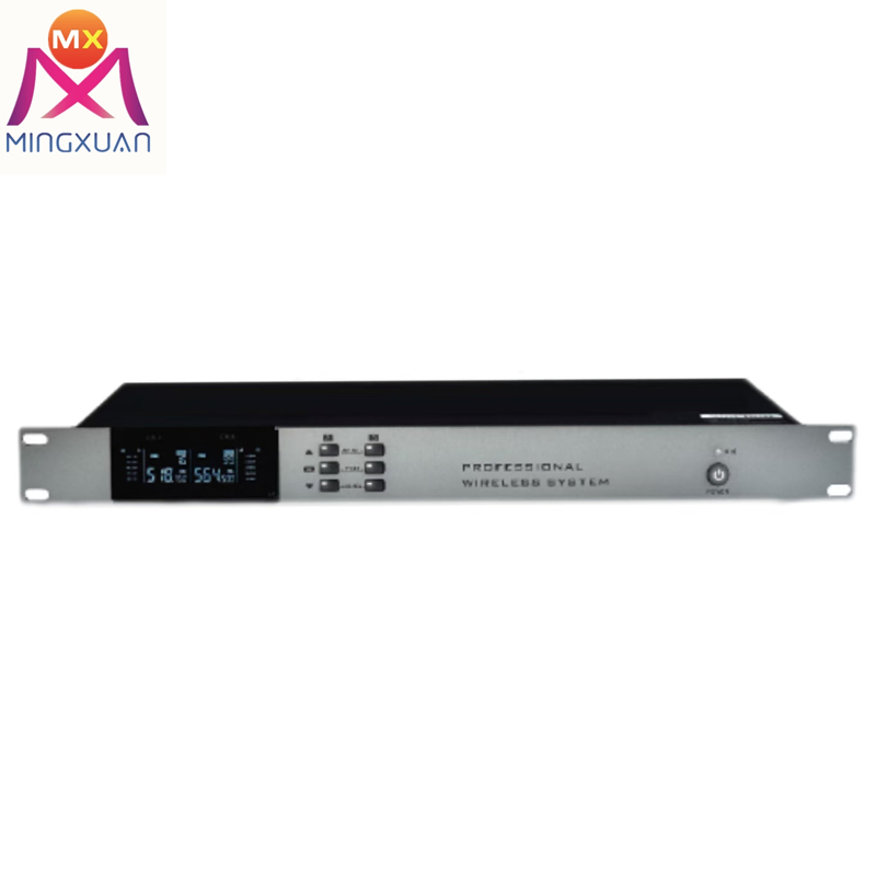 Double Handheld Dual Channel Wireless 2 Microphone Inputs Audio Digital Processor