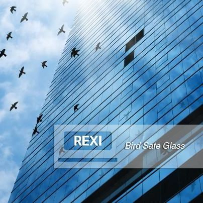 Bird Safe Friendly Glass by ceramic frit silk screen patterns