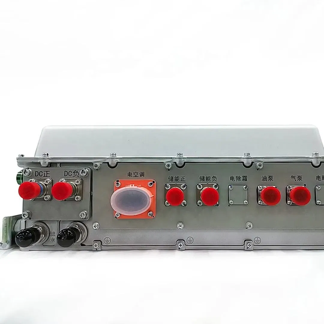 High Voltage 3.3kw 6kw Obc Dcdc 2 in 1 Electric Car Lithium Lon Golf Charger on Board Battery