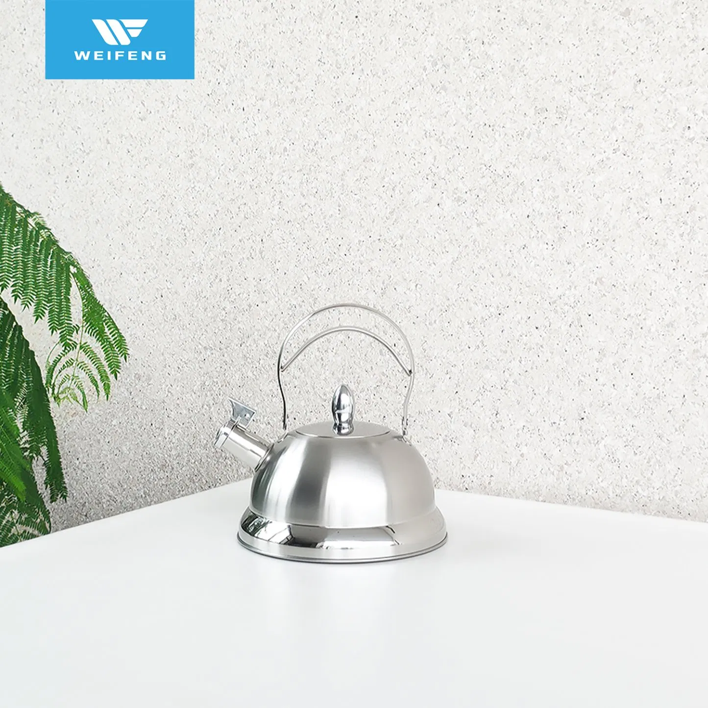 9 PCS Stainless Steel Cookware Set with Wire Ss Handle, Whistling Kettle