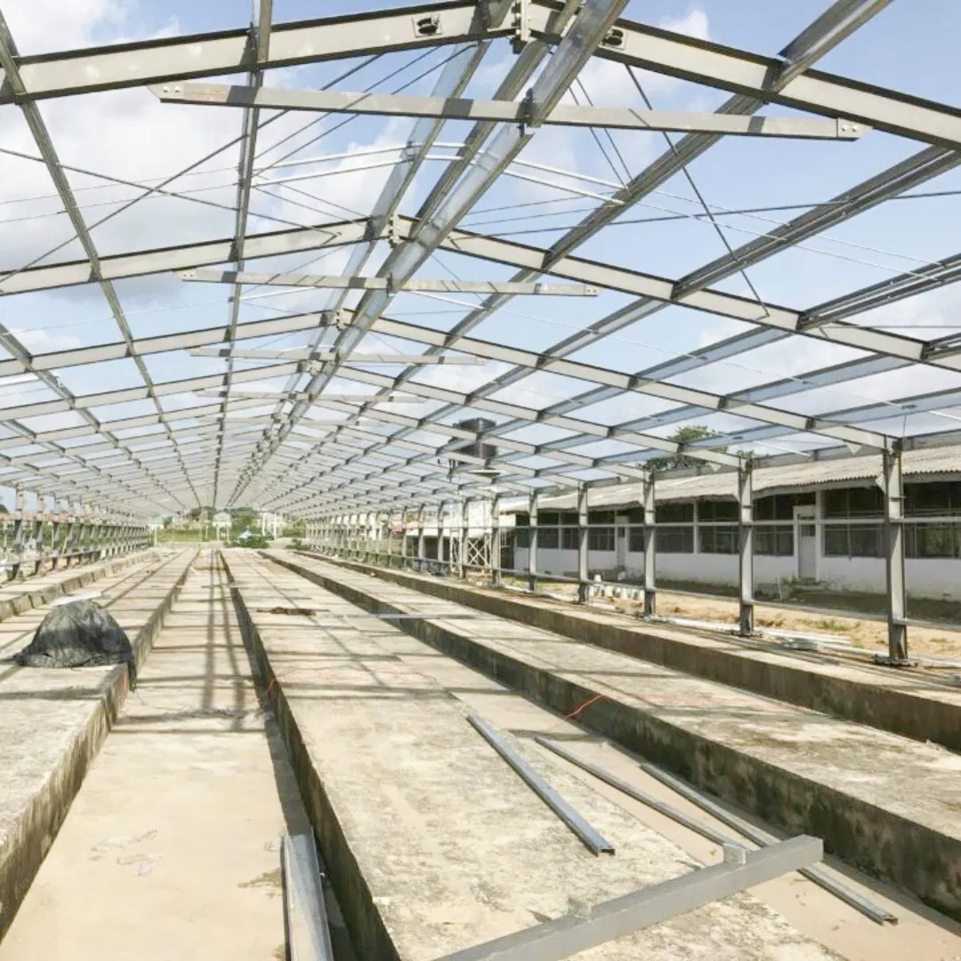 Nigeria Steel Structure Poultry Farm Building Modular Prefabricated/Prefab Chicken House