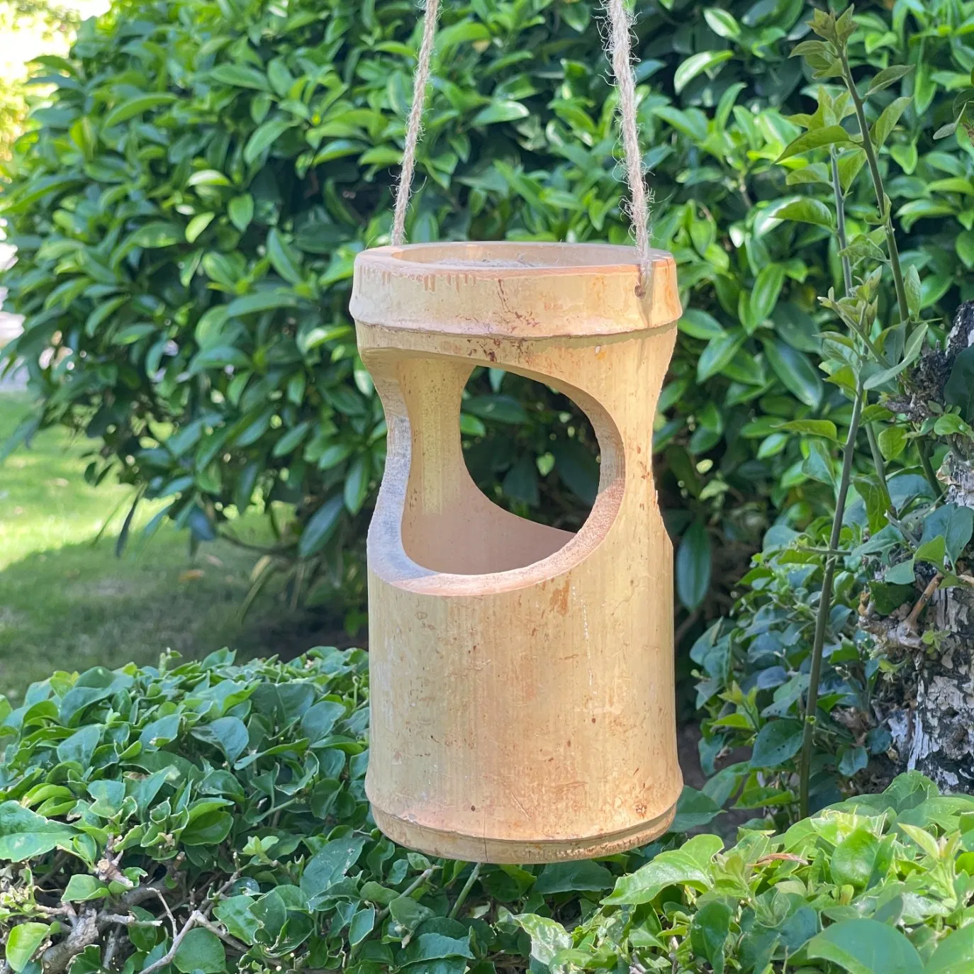 Bamboo Bird House for Finch Bluebird Cardinals Outdoor Gardening Hanging Birdhouse