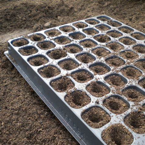 200 Holes Depth 4cm Good Quality Factory Directly Sell Seedling Tray