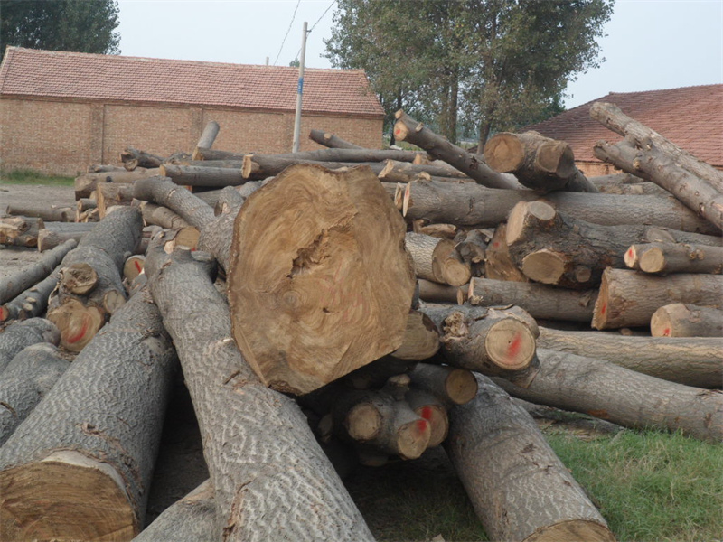 High Quality Heze Factory Direct Bamboo Paulownia Snowboard Core