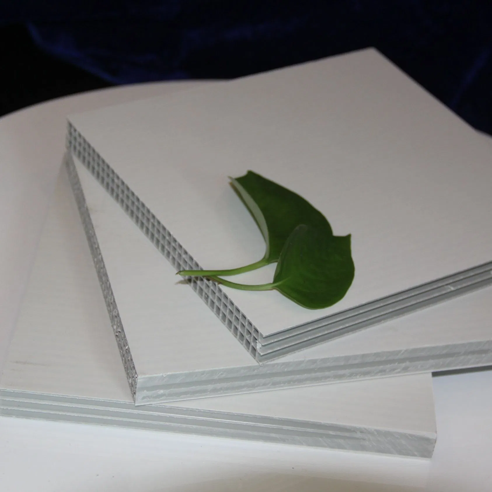 PP Formwork Board Phenolic Board for Formworks Concrete Formwork Boards