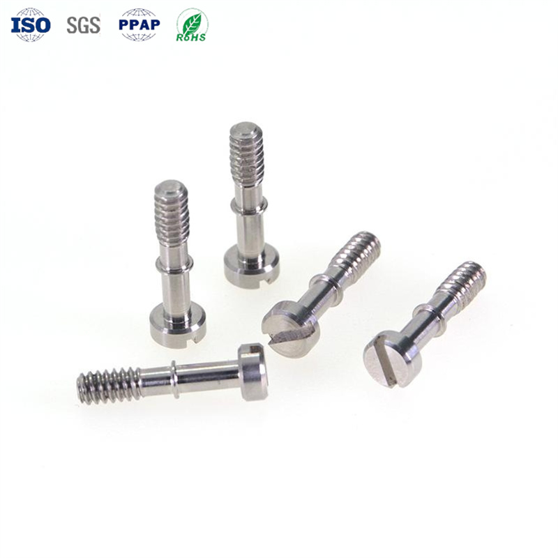 Durable Custom Stainless Steel Slotted Screws for Various Applications