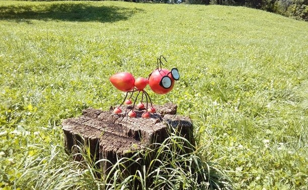 Charming LED Ant Decoration for Outdoor Garden Spaces