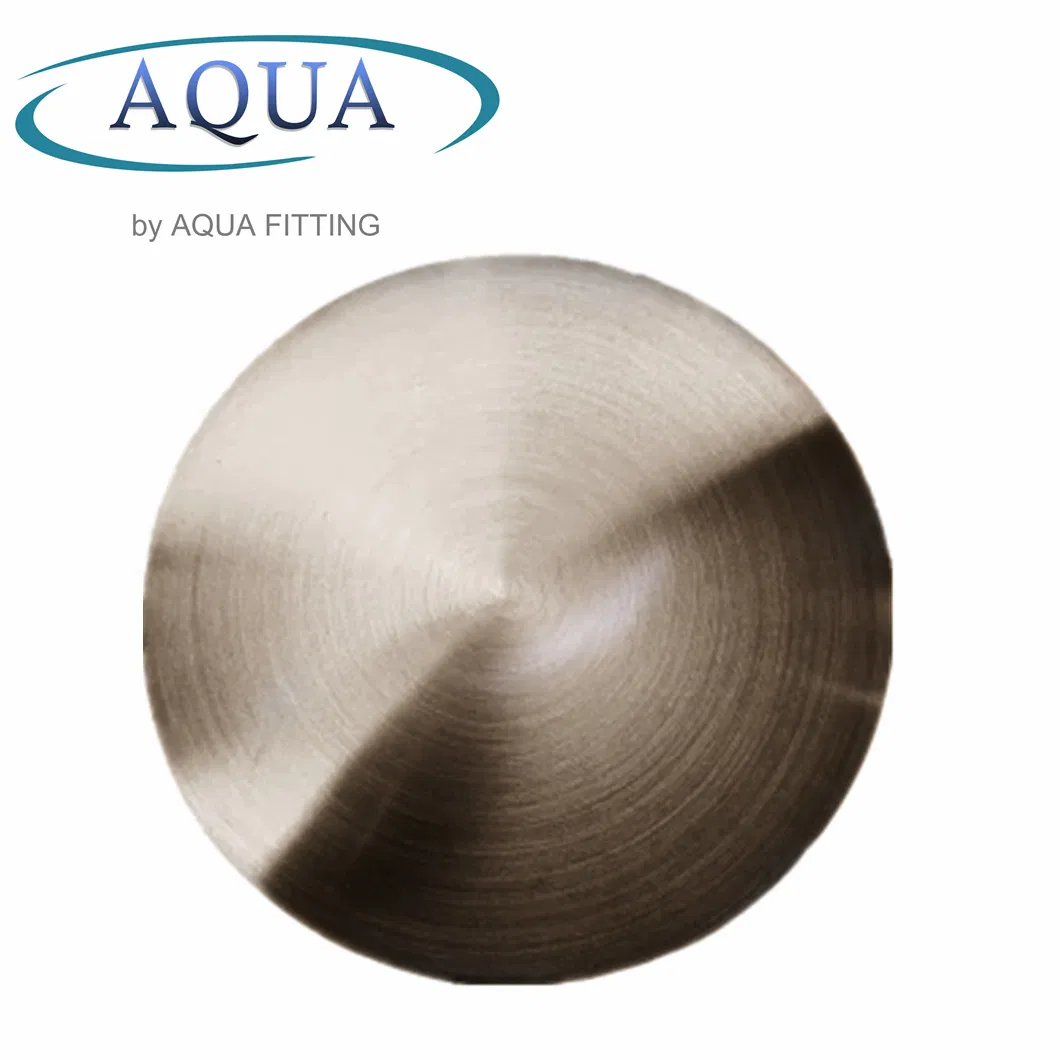 304 316 Stainless Steel Self Grip with Thread End Cap