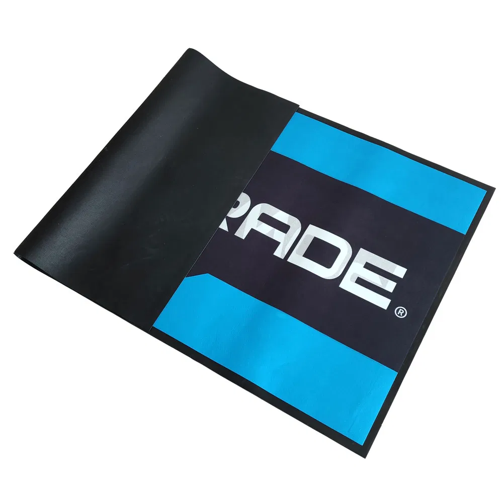 Good Quality Kitchen Floor Entrance Rubber Backed Dust Control Mat