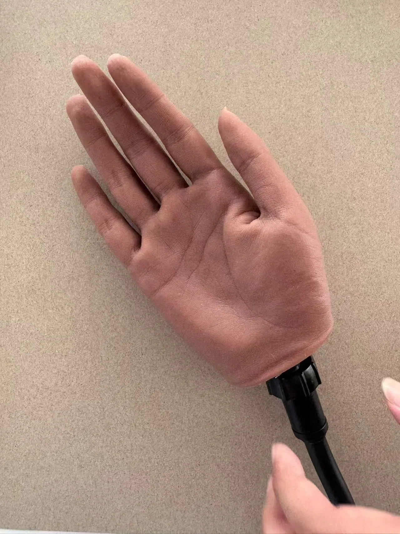 Realistic Silicone Fake Hands Display Training Model