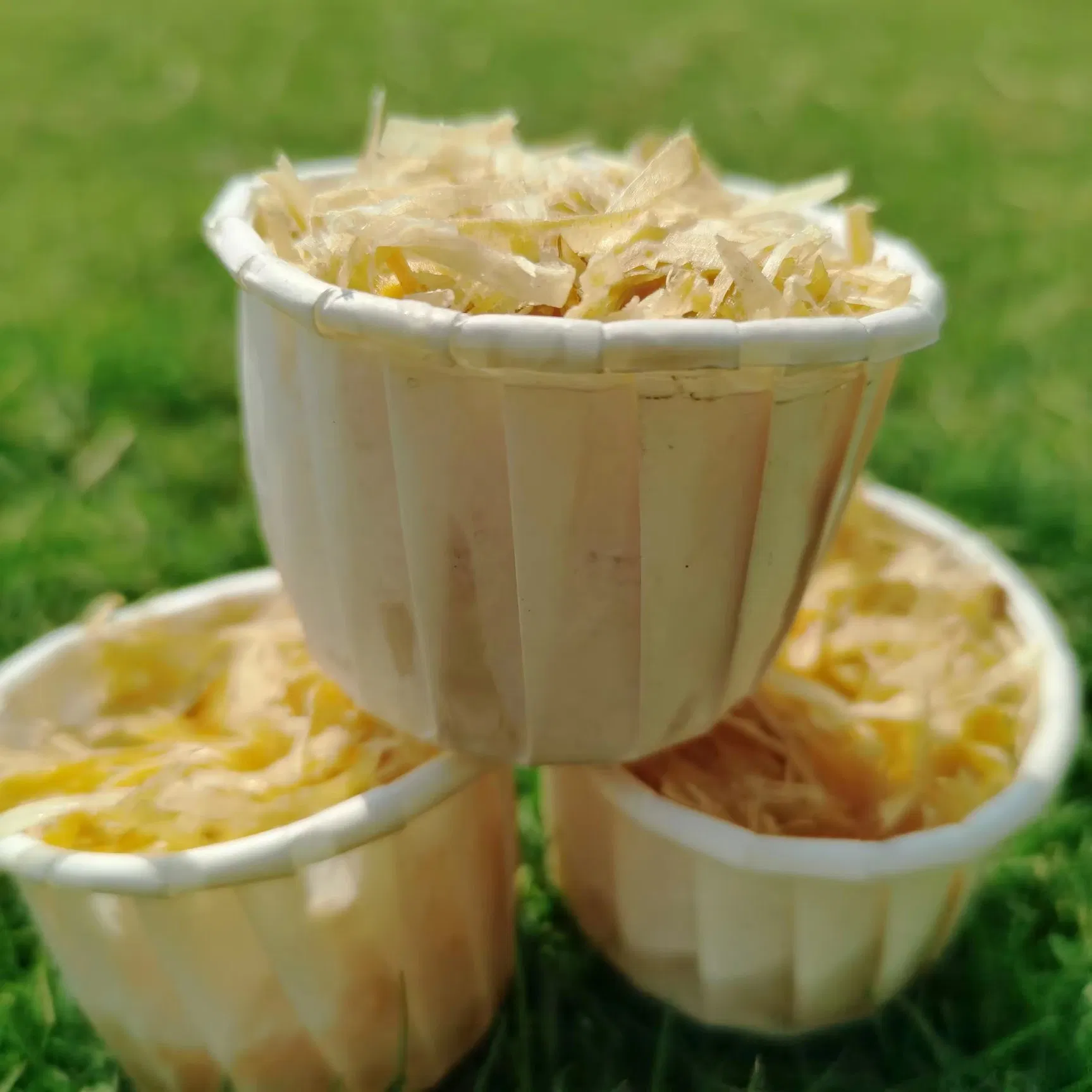 Organic Wood Fire Starters Made From Natural Wood and Wax Waterproof Camping Barbecue Accessory