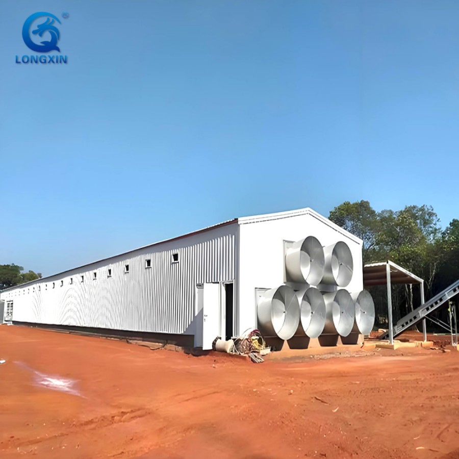 Longxinweiye Steel Works Broiler Poultry Farm House Design Egg Chicken House Building for Layers