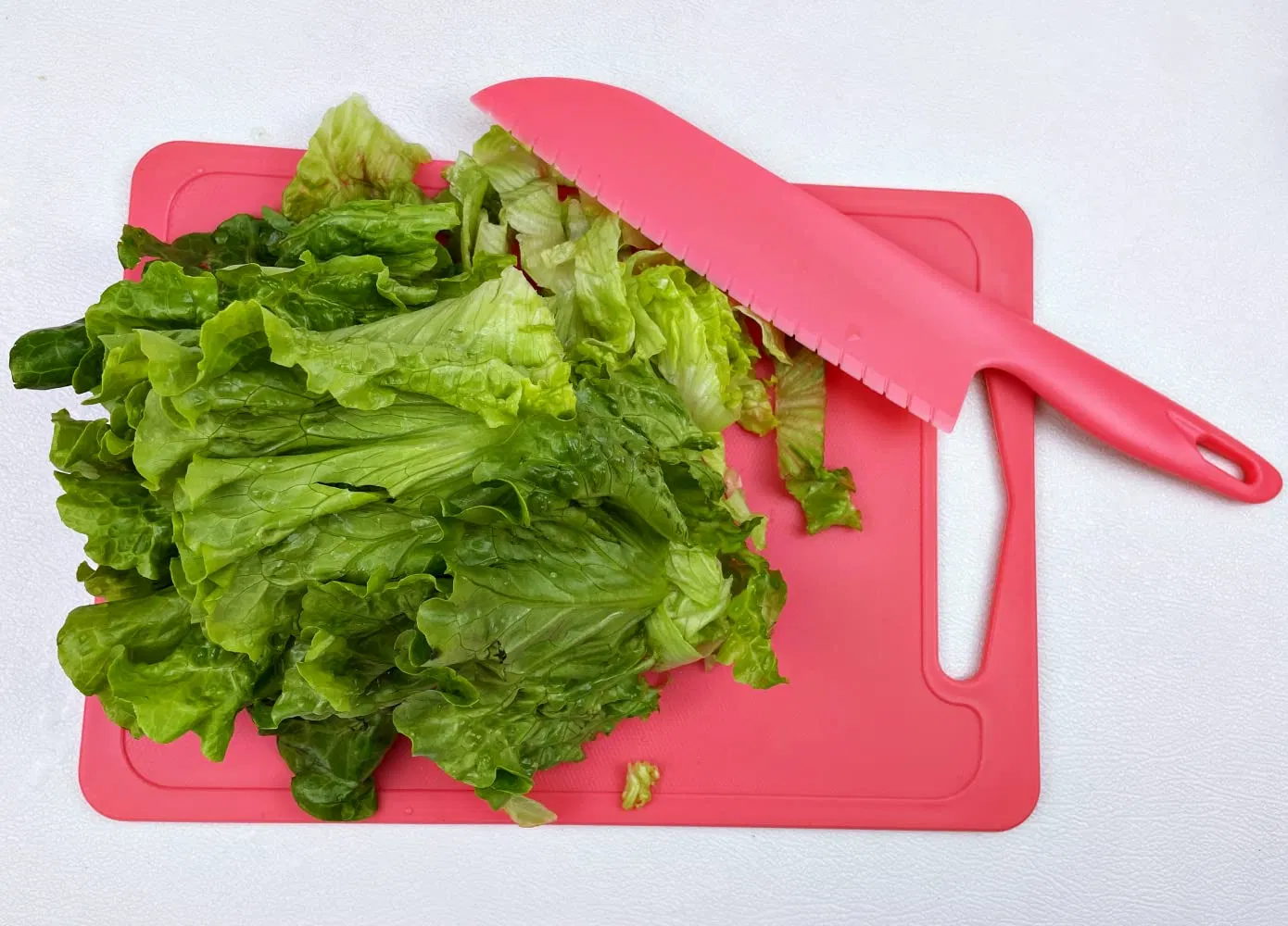 Multicolor Professional Knife Plastic Knife Cooking Cutting Serrated Knives