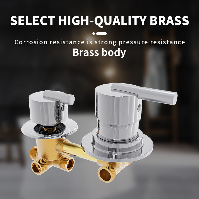 Double Handle Faucet Bathroom Shower Mixer