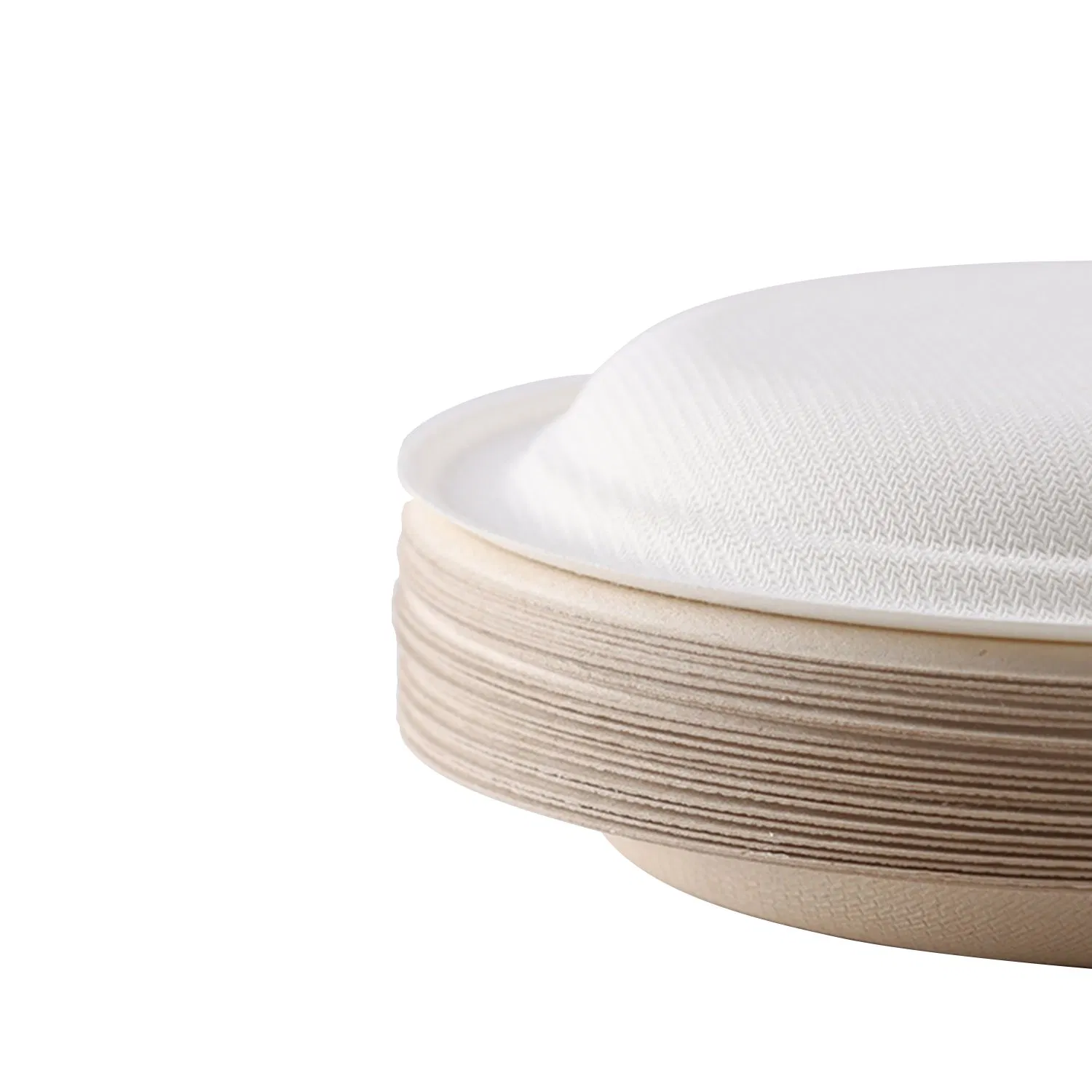 Eco-Friendly Biodegradable Disposable Sugarcane Residue Dinner Plates Fast Food Plate for Parties Gatherings Restaurants