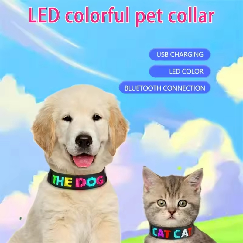 Hot Selling Large Dogs Customizable Logo Smart APP LED Band