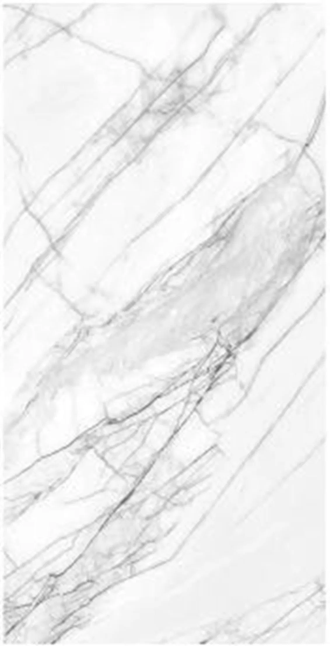 Edit750X1500mm Preserved Pruned Porcelain Floor Tiles for House&KTV&Villa&Hotel