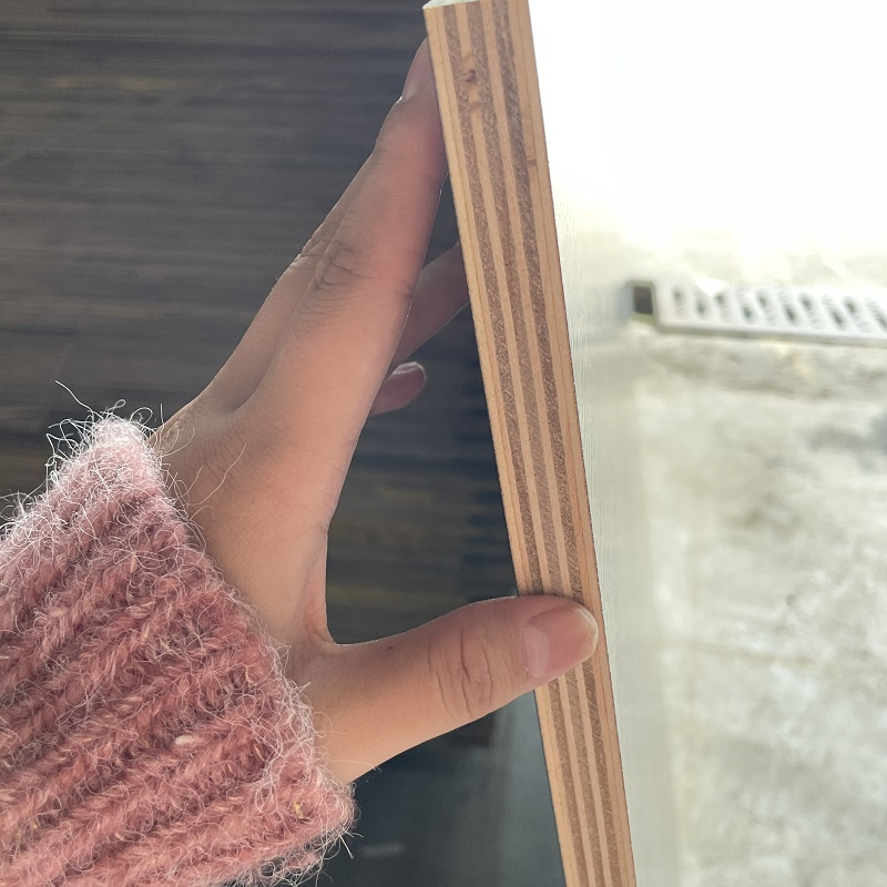 Film Faced Melamine Laminated Plywood