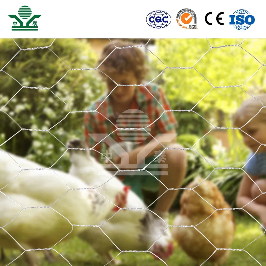 Zhongtai 0.64mm Hexagonal Mesh China Manufacturing 1m 2m Width Galvanized Rabbit Wire Mesh Used for 4 FT Black Welded Wire Fence