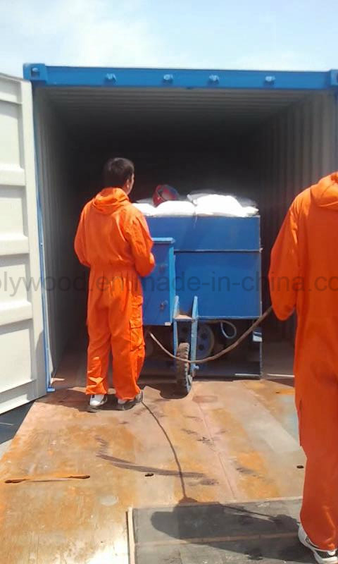 Keruing Sawn Timber Container Plywood Factory in Linsen
