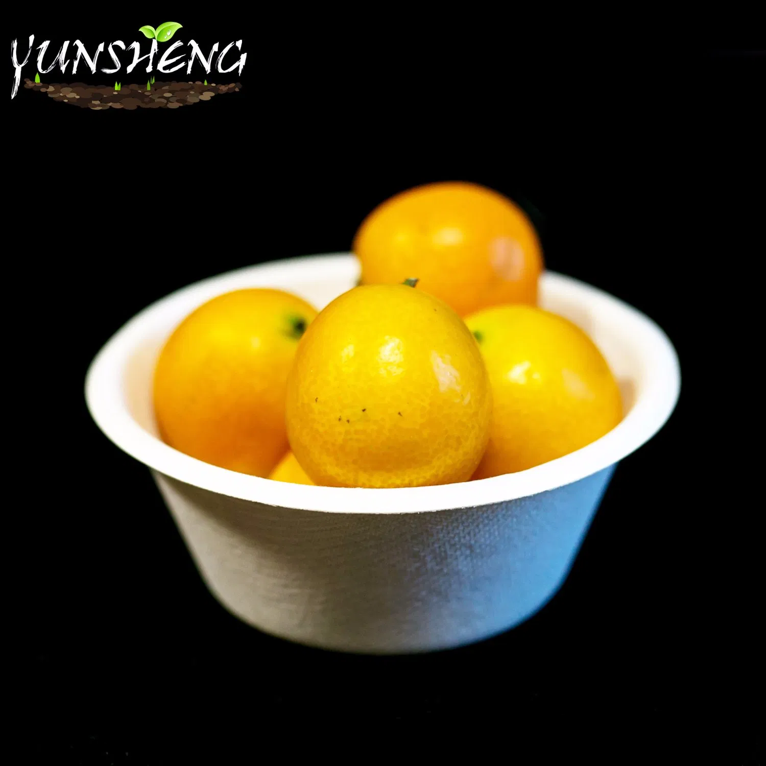 Environmentally Friendly Containers Biodegradable Fast Food Packaging