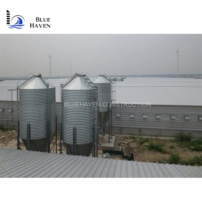 Light Steel Construction Storage Shed Breeding Chicken Coop