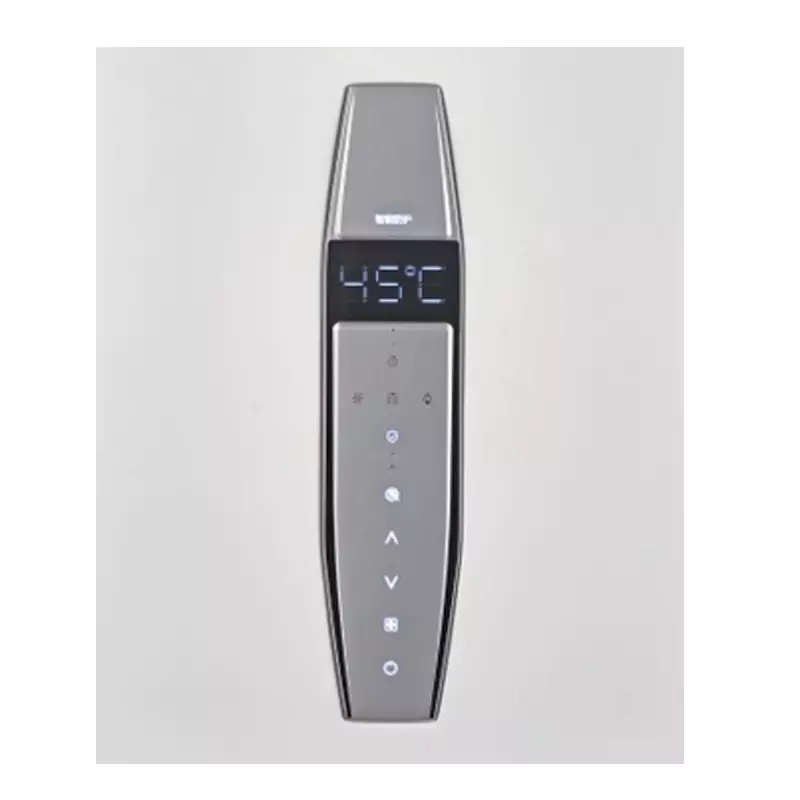 Flue Type Natural 12L 16L Gas Water Heater for Bathroom Shower